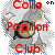 Collie-Papillon-Club's avatar