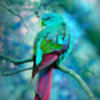 ColorfulBird123's avatar
