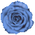 colorfulroseplz's avatar