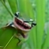 Colorlessfrog's avatar