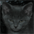 colourmesapphire's avatar