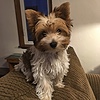 CometJo's avatar