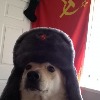 CommunisticDog's avatar