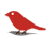 conniewood's avatar