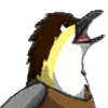 Conure-Flight's avatar