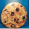 CookiekrumblezAdopts's avatar