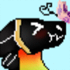 CookieLovesSHARPIES's avatar
