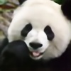 CookiePanda0's avatar