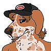 copper4me's avatar