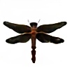 copperfly's avatar