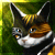 Copperlight's avatar