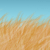 Coppermoor's avatar