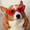 CorgiDaLoaf's avatar