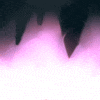 Coron-Whiteback's avatar