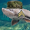 CorporalSturgeon's avatar