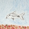 CorydorasPygmaeus's avatar