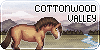 Cottonwood-Valley's avatar