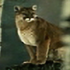 Cougar2k2's avatar