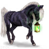 cowtracks's avatar