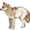 CoyoteSoot's avatar