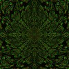 CrankTheSpacePirate's avatar