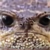 Cranky-Toad's avatar