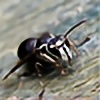 crawling-hornet's avatar