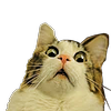 CrazyMatroskin55's avatar