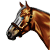 CrimsonEquestrian's avatar