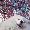 cringegod56's avatar