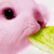 crispychickencosplay's avatar