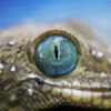 CrocodileDesing's avatar