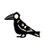 crow-points's avatar