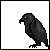 Crow-Winged's avatar