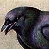 crowbirdplz's avatar