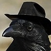 Crowbott's avatar