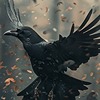 crowfromnorthern's avatar