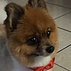 CrypticDevour's avatar
