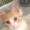 CrystalPastelKitty's avatar