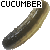 cucumberplz's avatar