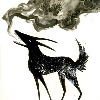 cunningcoyote's avatar
