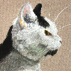 cupbatstudios's avatar