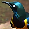 cuteyoshipup's avatar
