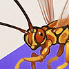 CuttleDreams's avatar
