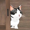 cvkt500's avatar