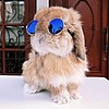 CyberBunny937's avatar