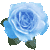cyra-olea's avatar