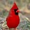 CzerwonyPan's avatar