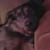 dachshund218's avatar