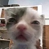 DaGamerDude's avatar